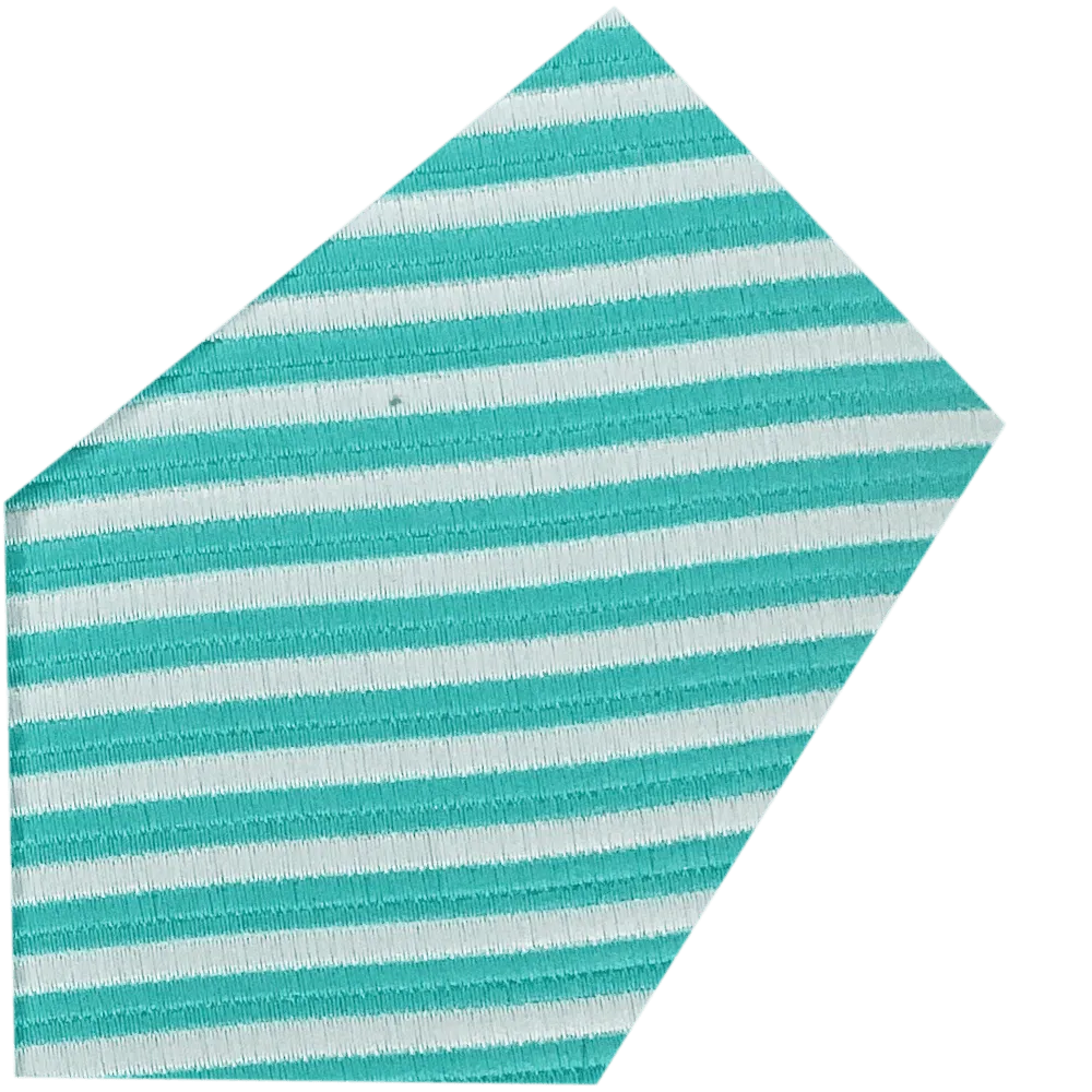 Jasstripe Tie-Bow & Hank Set Col #10-Mint