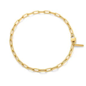 Paperclip Chain (Gold)