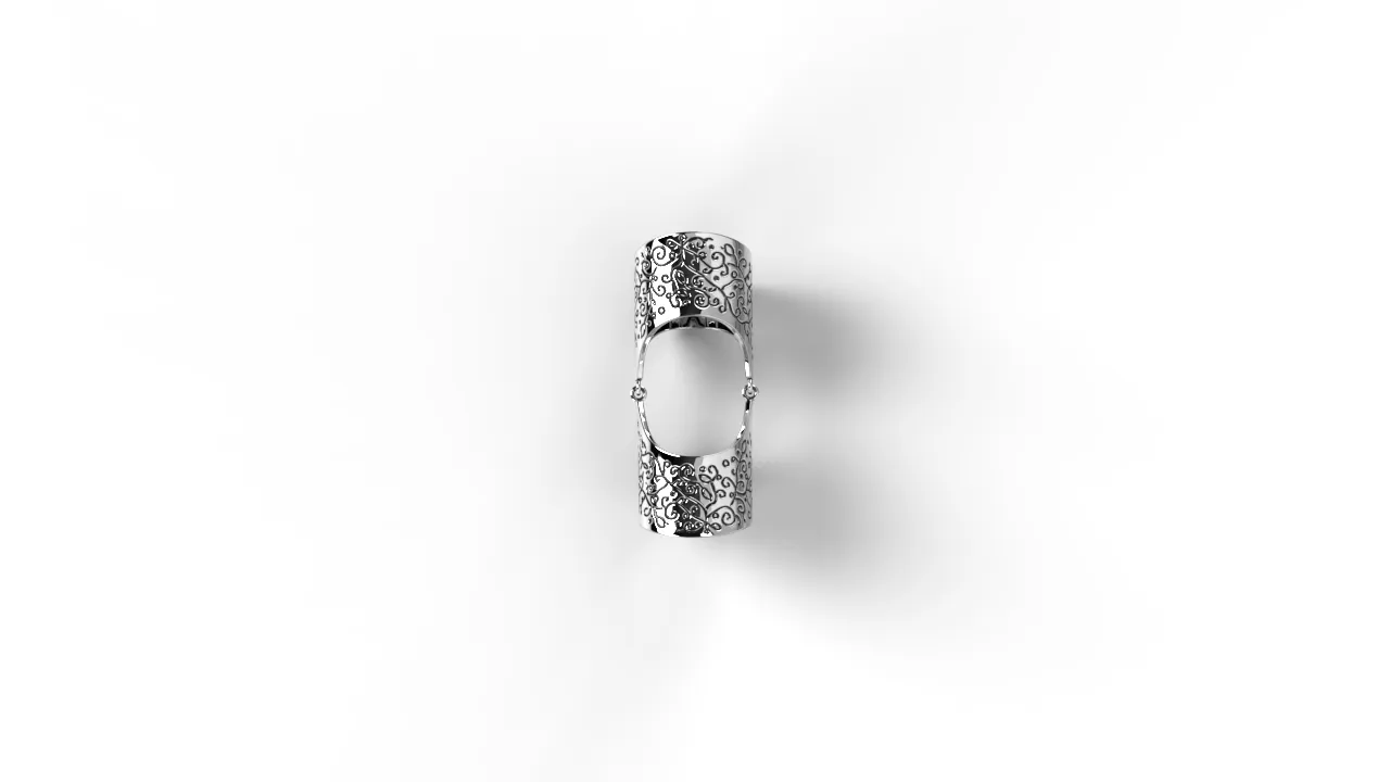 Sterling silver full finger ring "Garuna"