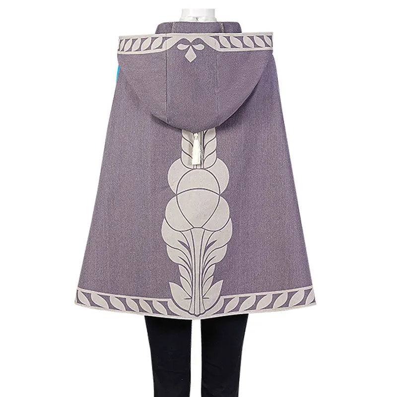 The Legend of Zelda: Tears of the Kingdom Princess Zelda Cosplay Costume